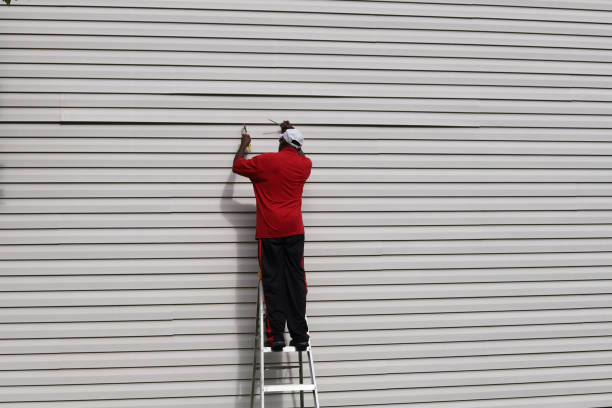 Best Vinyl Siding Installation  in Junction City, KY